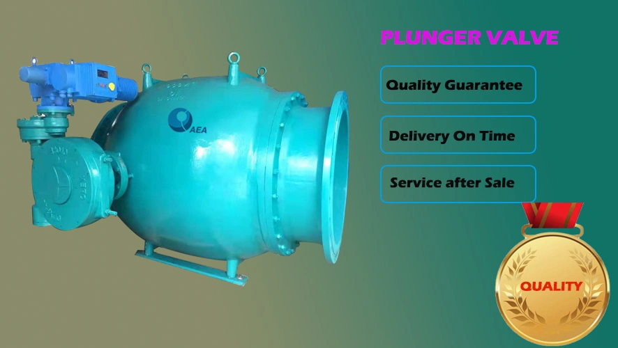 Hydro Power Big Diameter Cast Steel Corrosive Resistant Epoxy Coating Flange Free Discharge Hollow Jet Piston Needle Plunger Valve