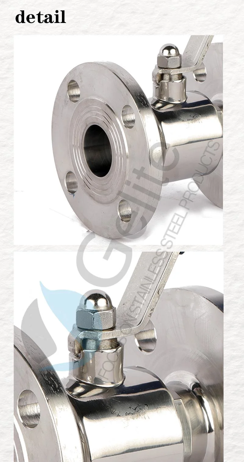 Sanitary Flange Stainless Steel Ball Valve DIN/JIS/ASTM/ANSI Standard