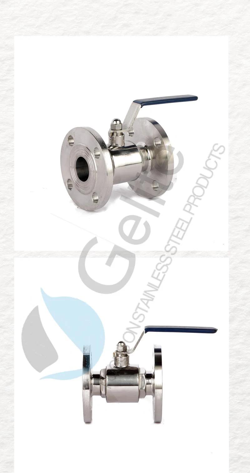 Sanitary Flange Stainless Steel Ball Valve DIN/JIS/ASTM/ANSI Standard